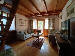 Luxury Panoramic 3BR Apt 2min to Centre 5min to Lifts Cortina D'ampezzo